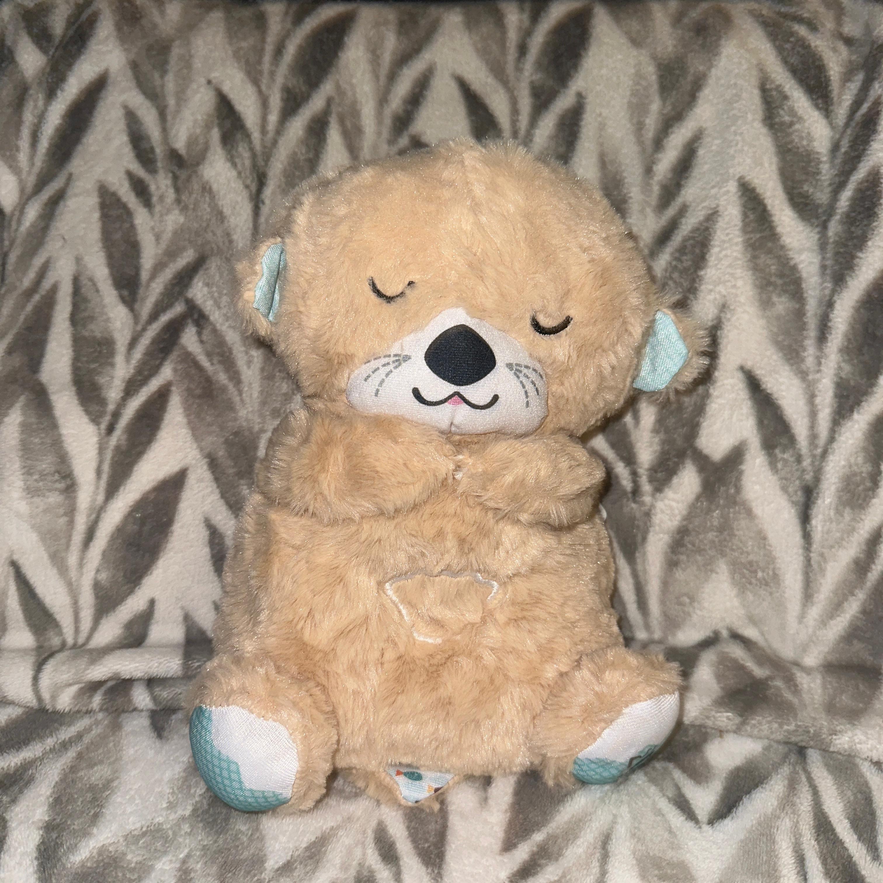 Breathing Otter Bear